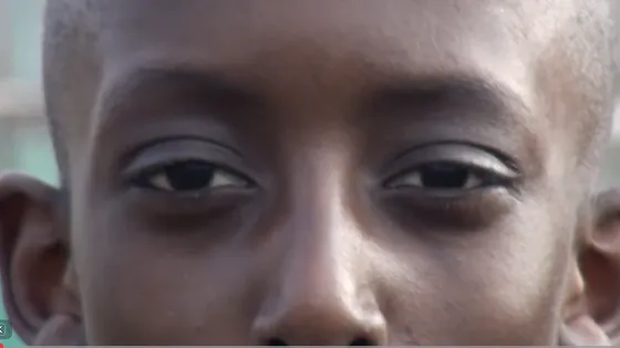 Proefpark de Punt - Park van de toekomst